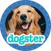 DogsterOfficial