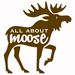 allaboutmoose