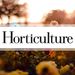 hortmag