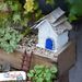 fairygardendiy