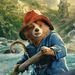 paddingtonbear