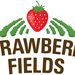 strawberryfieldsfarmshop