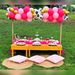 picnicproevents