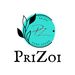 PRIZOI_Decor