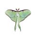 Moth and Myth