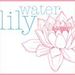 waterlilyshop