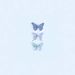 iicata_butterfly22