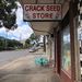 crack_Seed_Store