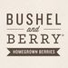 BushelandBerry