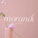 morandidesigns