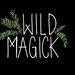 wildmagickllc