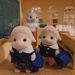 SylvanianFriendsCollection