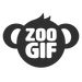 zoogif