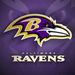 ravens24