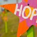 Stars_of_HOPE