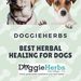 doggieherb