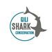 gilisharkconservation