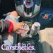 carstheticsshop