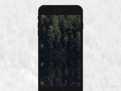 an iphone with the image of trees on it