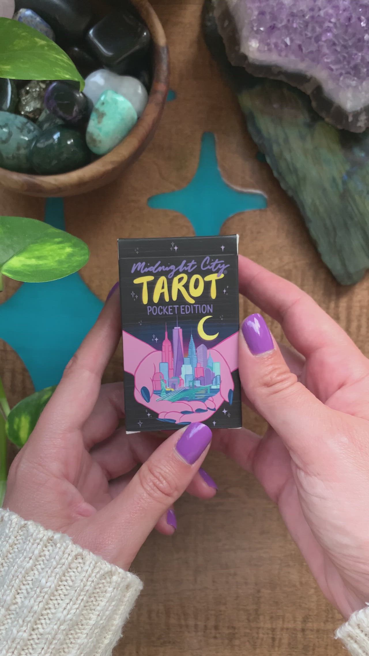 This may contain: a person holding up a tarot box in front of some rocks and plants on a table