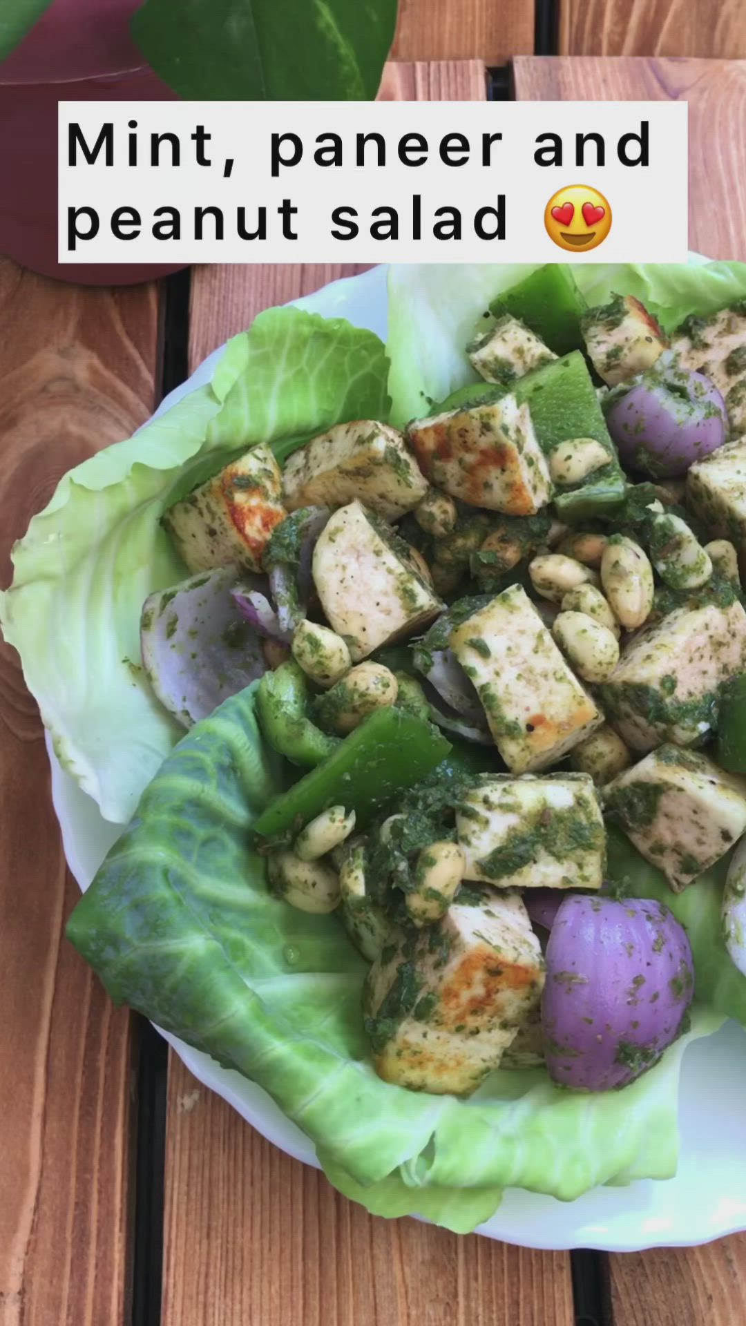 This may contain: lettuce and chicken salad on a plate with the words mint, paneer and peanut salad