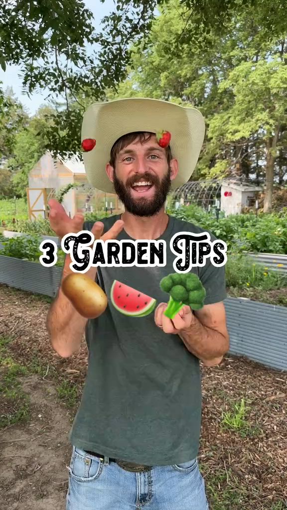 This may contain: a man wearing a hat holding a watermelon and pickle with the words 3 garden tips