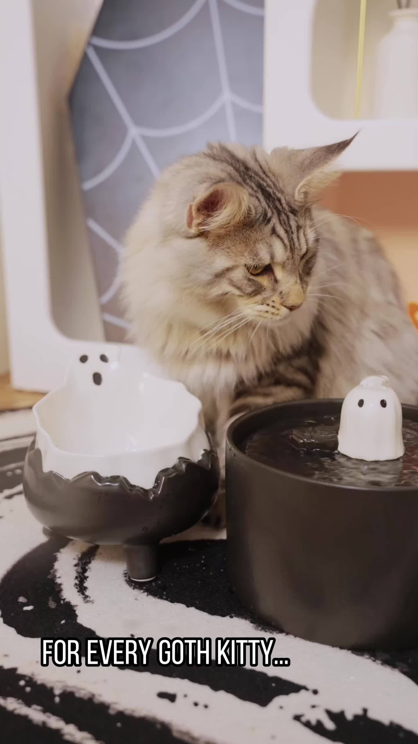 This may contain: a cat sitting on the floor next to two bowls with ghost faces in them and one has its eyes closed