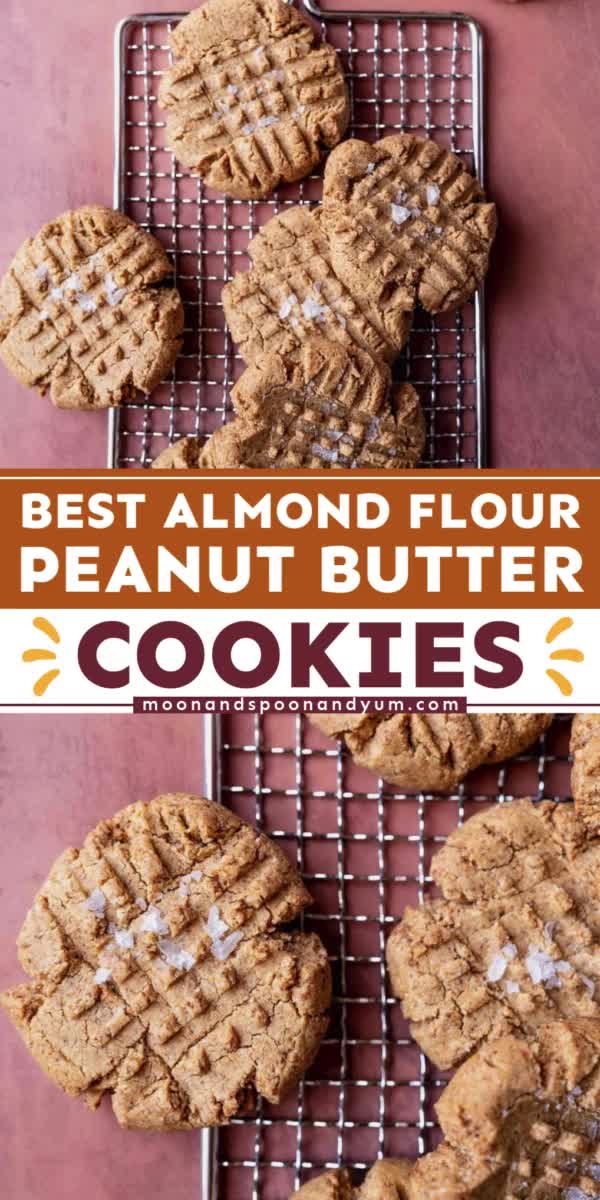 This contains: The BEST Best Almond Flour Peanut Butter Cookies! This holiday baking recipe is a healthy addition to your Christmas dessert ideas. While these easy Christmas cookies are gluten-free, dairy-free, vegan, and refined sugar-free, they are still deliciously soft and chewy!