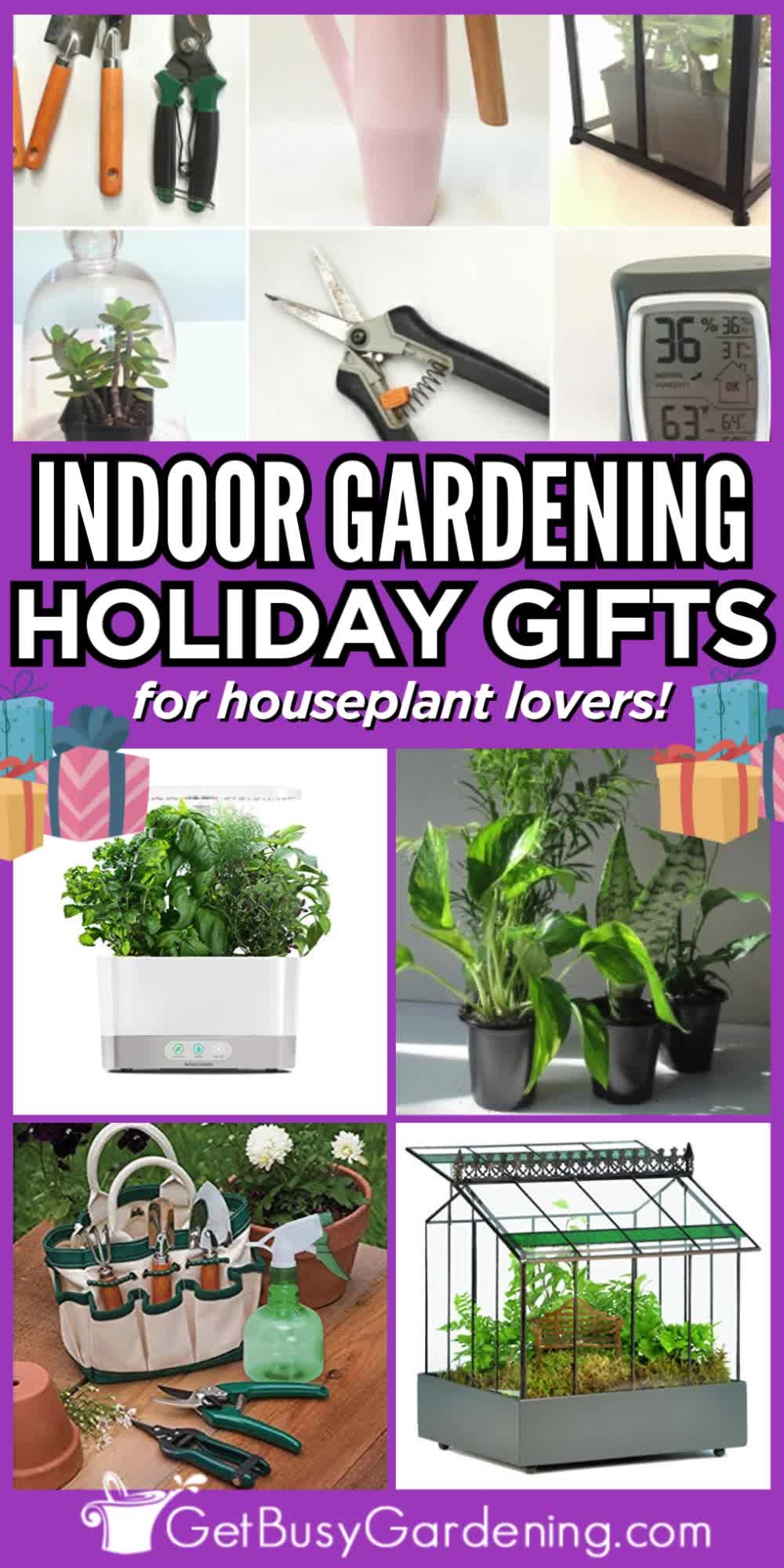 This contains: garden tote, terrarium, decorative pots, garden tools are featured here