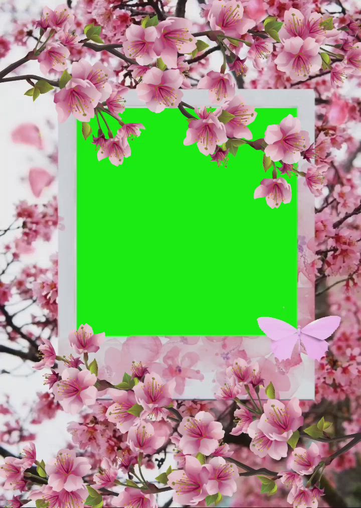 This may contain: a green screen with pink flowers and butterflies in the foreground, against a white background