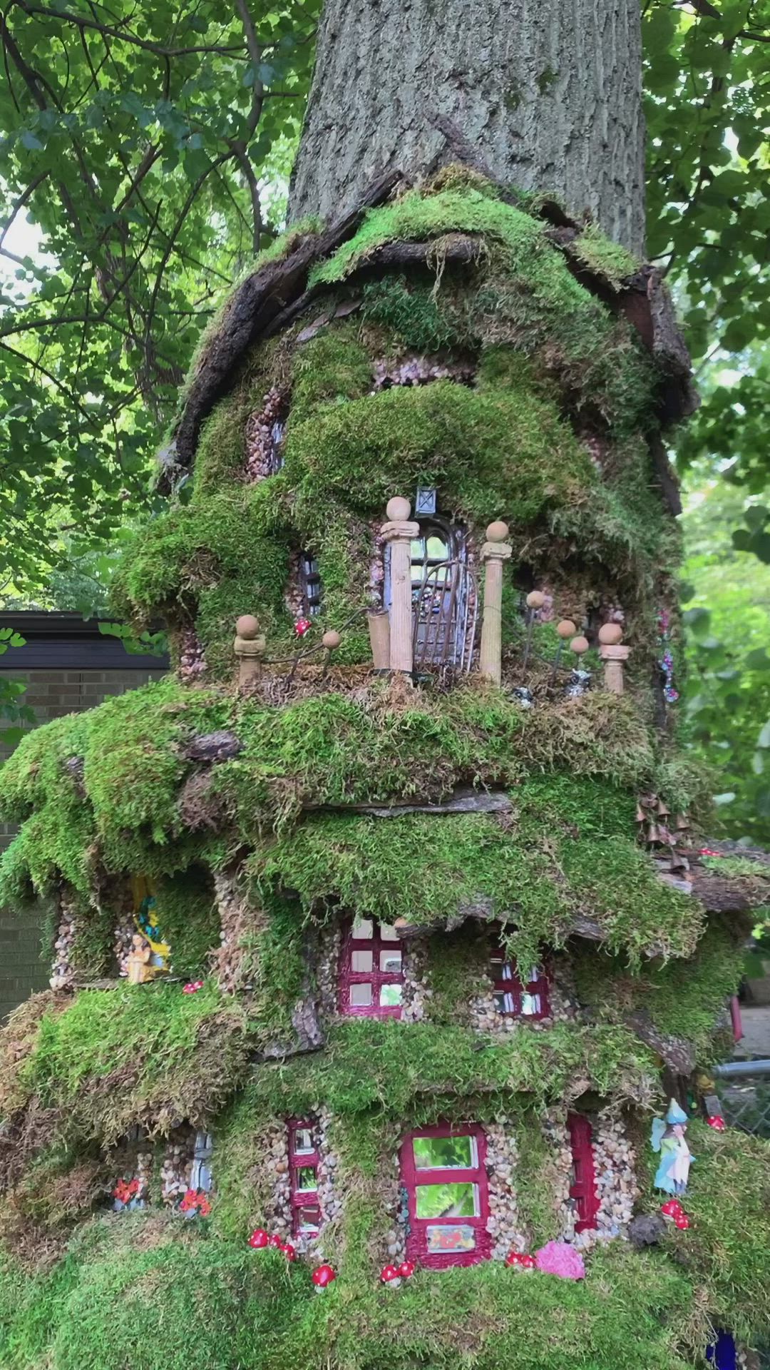 This may contain: a house made out of plants and rocks in the shape of a tree trunk with lots of windows