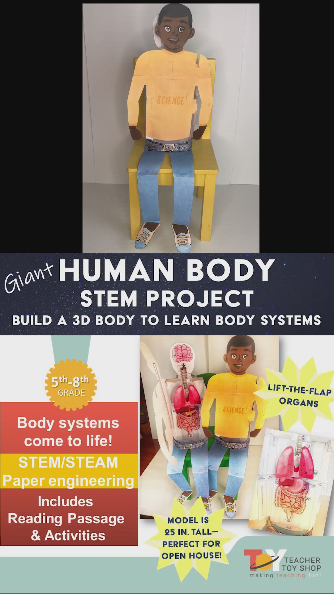 This contains: 3D paper boy sitting on a small yellow chair. Hands swing open the boy’s shirt to reveal paper organs (brain, spinal cord, lungs, heart, stomach, spleen, liver, gallbladder kidneys, etc.) inside. Hands lift the paper organs to reveal more human body organs beneath. Shirt is closed again and model is flipped to show fill-in-the-blank boxes on the support structure on the back and then placed face forward again on the chair.