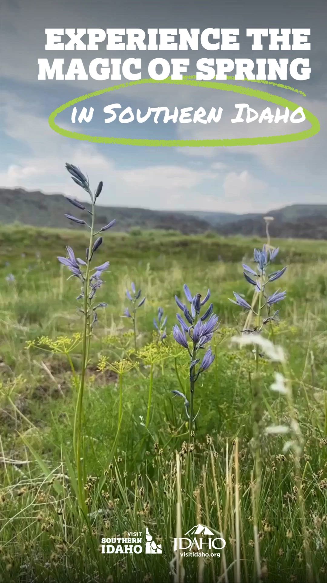 This may contain: a field with yellow flowers and the words experience the magic of spring in southern idaho