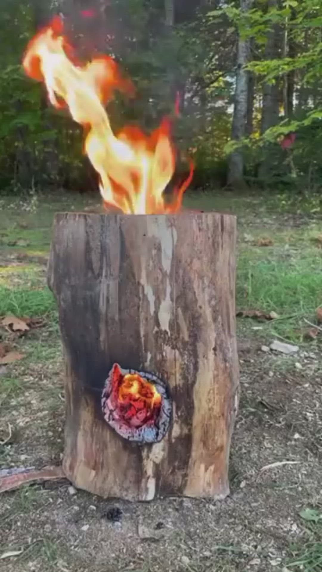 This may contain: a fire is burning in the middle of a tree stump