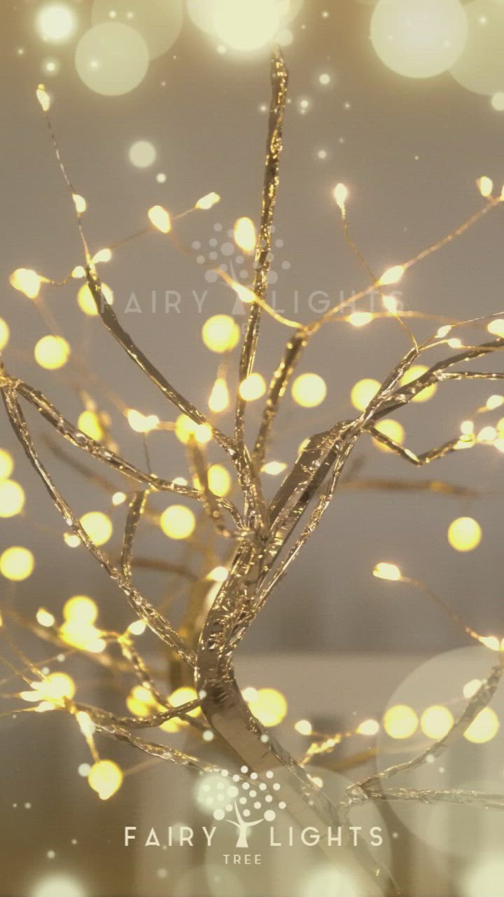 This may contain: fairy lights are on the branches of a tree in front of a blurry background