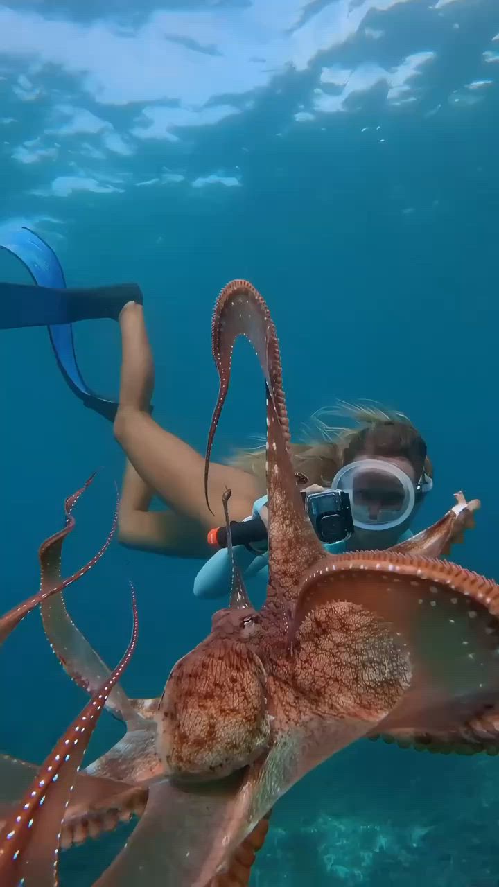 This may contain: a woman swimming in the ocean with an octopus and snorkels on her back