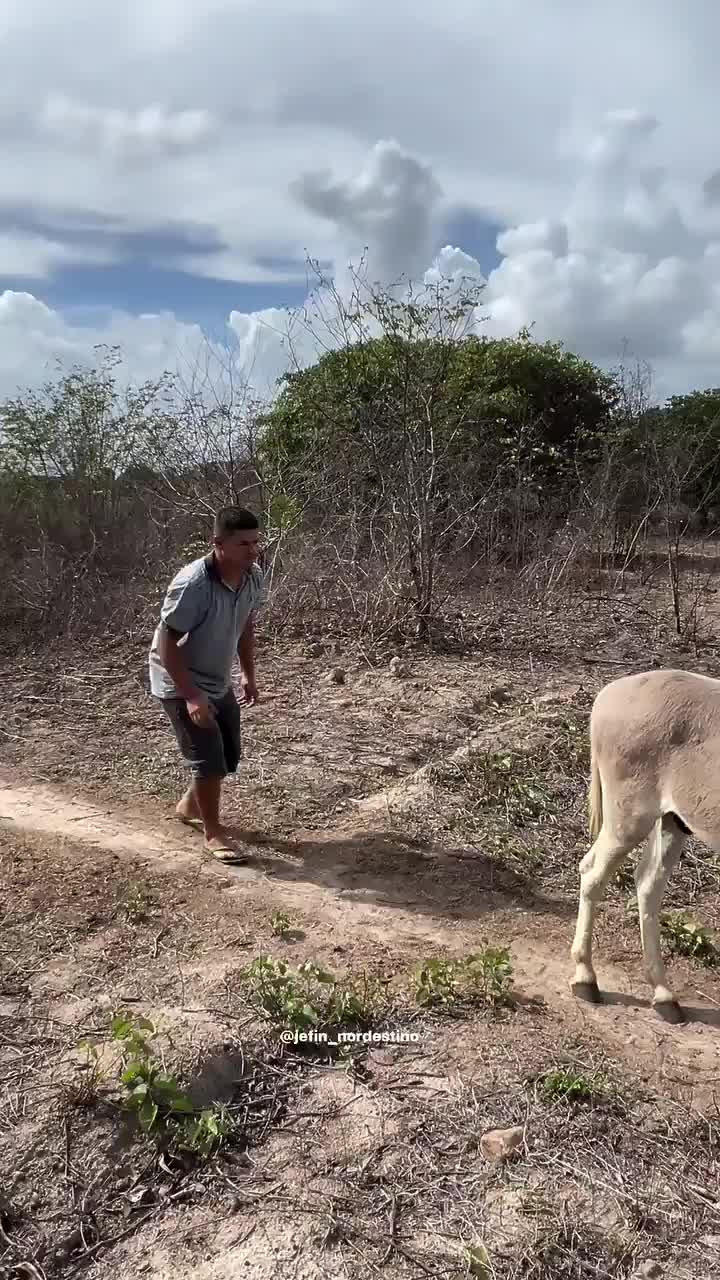 This may contain: a man walking next to a cow on a dirt road