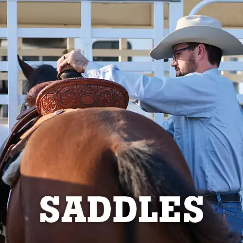 Cowboy saddling a horse with text 