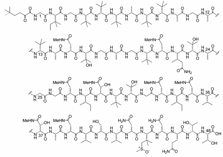 polytheonamide.gif