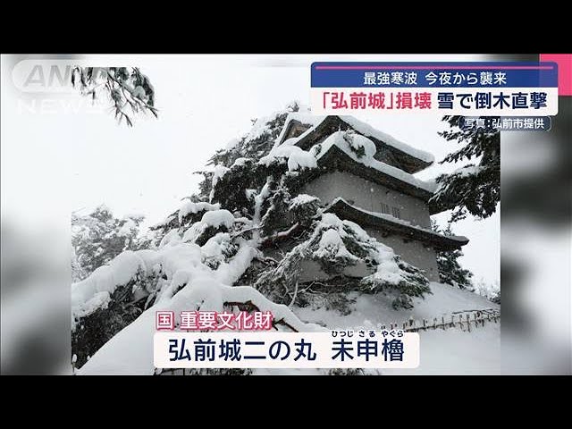 Image of Hirosaki Castle Suffers Severe Damage as Heavy Snow Topples Trees