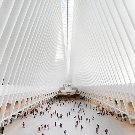 Architect at Santiago Calatrava in Zurich, Switzerland