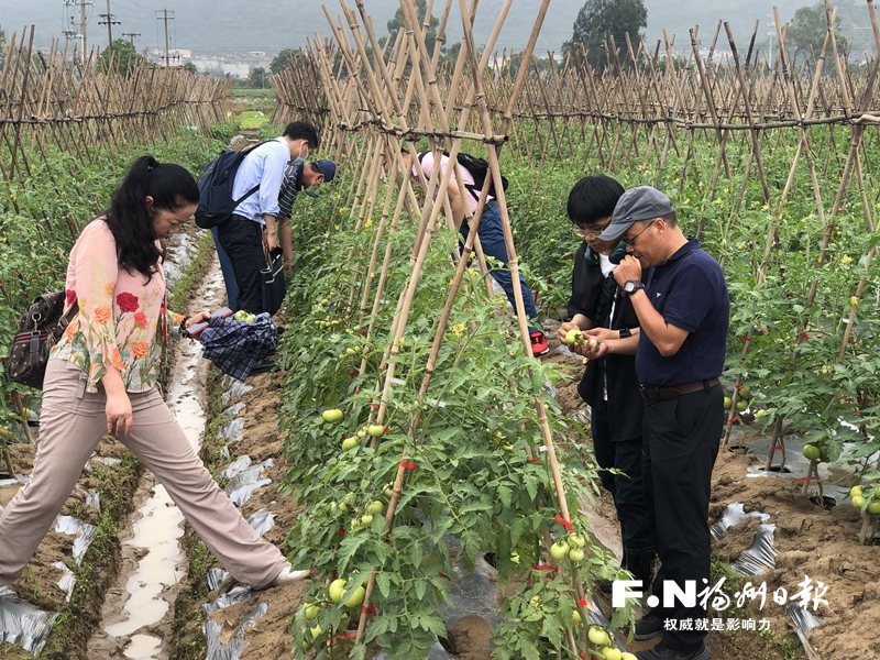 福州：科技赋能“菜篮子”工程和湿地保护