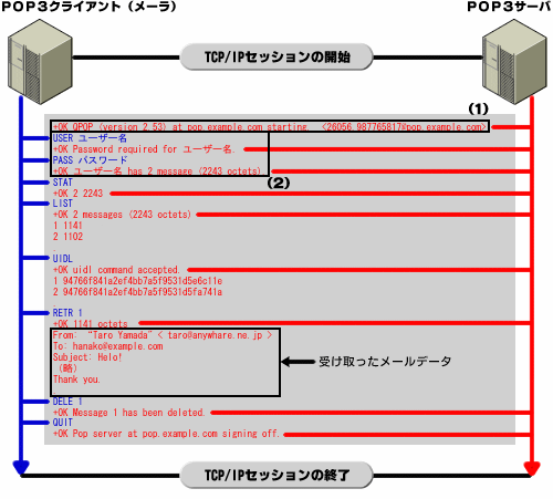 }2@POP3ɂAT[oƃNCAgԂł̗̂lq