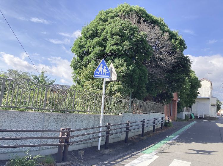 横浜富士見丘学園高等学校画像