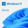 Windows 11 Home 64bit Japanese DSP DVD yLAN{[h Zbgz KW9-00643