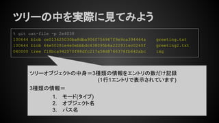 ツリーの中を実際に見てみよう
% git cat-file -p 2e4038
100644 blob ce013625030ba8dba906f756967f9e9ca394464a greeting.txt
100644 blob 64e50281e4e0ebbbdc438095b6a222931ec0240f greeting2.txt
040000 tree f18bca942070f88dfc217a58d8766376fb642abc img
ツリーオブジェクトの中身＝3種類の情報をエントリの数だけ記録
(1行1エントリで表示されています)
3種類の情報＝
1. モード(タイプ)
2. オブジェクト名
3. パス名
 