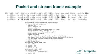 Packet and stream frame example
192.168.1.67.50494 > 64.233.165.103.443: [udp sum ok] UDP, length 318
0x0000: 4500 015a 88e6 4000 4011 0871 c0a8 0143 E..Z..@.@..q...C
0x0010: 40e9 a567 c53e 01bb 0146 6b09 0c7b f28b @..g.>...Fk..{..
0x0020: 4776 8407 5203 80b8 139c 8545 7533 d5a1 Gv..R......Eu3..
 