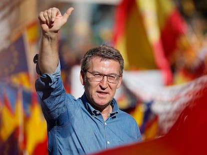 PP's President Alberto Nunez Feijoo gestures during a demonstration called by the opposition party Partido Popular (PP) against the government's amnesty law for people involved in Catalonia's failed 2017 independence bid, and "in defense of a country of free and equal citizens", on the Plaza de Espana square in Madrid, on January 28, 2024. (Photo by OSCAR DEL POZO / AFP)