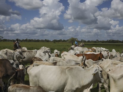 Un rancho ganadero en los pastizales de Arauca, Colombia.