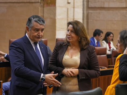 Los consejeros de la Presidencia, Interior, Diálogo Social y Simplificación Administrativa, Antonio Sanz, y de Agricultura, Pesca, Agua y Desarrollo Rural, Carmen Crespo, en el Pleno del Parlamento andaluz.

El Pleno del Parlamento andaluz ha convalidado este miércoles, con los votos a favor del PP-A y Vox, el cuarto decreto de simplificación administrativa aprobado el pasado 6 de febrero por el Gobierno de Juanma Moreno, que modifica 176 normas, 53 leyes, 95 decretos y 28 órdenes.